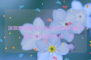 深圳網(wǎng)站建設(shè)與深圳企業(yè)網(wǎng)站建設(shè)，數(shù)字化轉(zhuǎn)型的關(guān)鍵一步