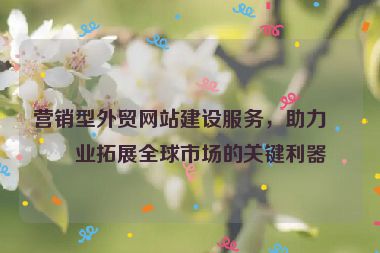 營銷型外貿(mào)網(wǎng)站建設(shè)服務(wù)，助力企業(yè)拓展全球市場的關(guān)鍵利器