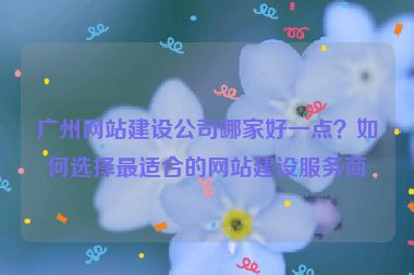 廣州網(wǎng)站建設(shè)公司哪家好一點(diǎn)？如何選擇最適合的網(wǎng)站建設(shè)服務(wù)商