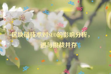 區(qū)塊鏈技術(shù)對(duì)SEO的影響分析，機(jī)遇與挑戰(zhàn)并存