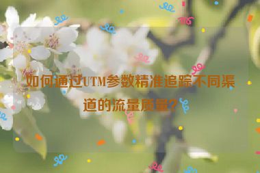 如何通過UTM參數(shù)精準追蹤不同渠道的流量質(zhì)量？