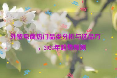 外貿(mào)電商熱門品類分析與選品方向，2024年趨勢預(yù)測