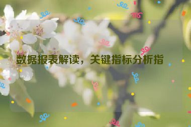 數(shù)據(jù)報(bào)表解讀，關(guān)鍵指標(biāo)分析指南