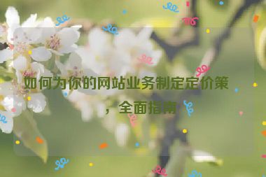 如何為你的網(wǎng)站業(yè)務(wù)制定定價策略，全面指南