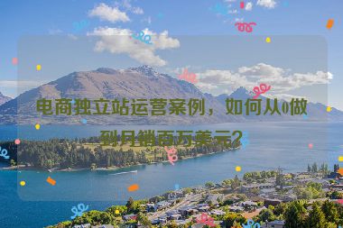 電商獨(dú)立站運(yùn)營案例，如何從0做到月銷百萬美元？