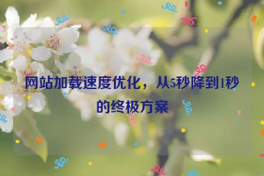網(wǎng)站加載速度優(yōu)化，從5秒降到1秒的終極方案