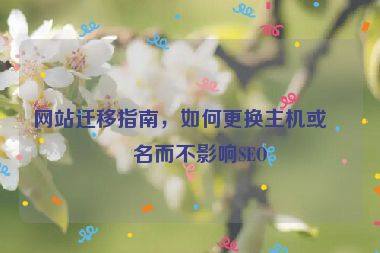 網(wǎng)站遷移指南，如何更換主機(jī)或域名而不影響SEO