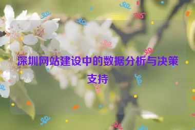 深圳網(wǎng)站建設(shè)中的數(shù)據(jù)分析與決策支持