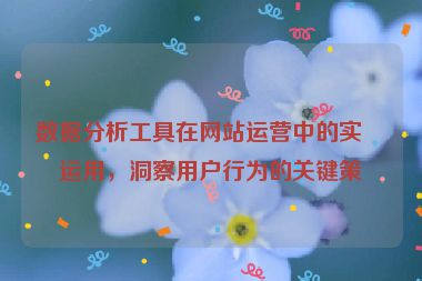 數(shù)據(jù)分析工具在網(wǎng)站運(yùn)營中的實(shí)戰(zhàn)運(yùn)用，洞察用戶行為的關(guān)鍵策略
