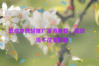 低成本網(wǎng)站推廣渠道推薦，高效引流不花冤枉錢