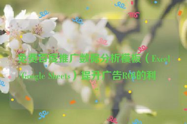 免費(fèi)百度推廣數(shù)據(jù)分析模板（Excel/Google Sheets）提升廣告ROI的利器