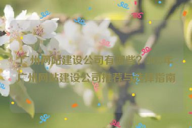 廣州網(wǎng)站建設(shè)公司有哪些？2023年廣州網(wǎng)站建設(shè)公司推薦與選擇指南