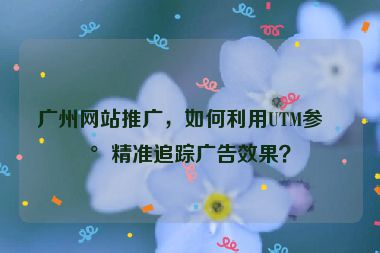 廣州網(wǎng)站推廣，如何利用UTM參數(shù)精準追蹤廣告效果？