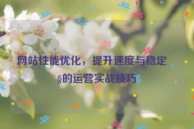 網(wǎng)站性能優(yōu)化，提升速度與穩(wěn)定性的運(yùn)營實(shí)戰(zhàn)技巧