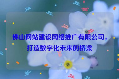 佛山網站建設網絡推廣有限公司，打造數字化未來的橋梁