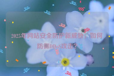 2025年網(wǎng)站安全防護(hù)新威脅，如何防御DDoS攻擊？