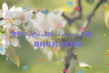 使用WordPress和WooCommerce搭建電商網(wǎng)站的完整教程