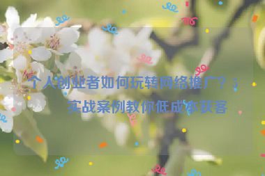 個人創(chuàng)業(yè)者如何玩轉網絡推廣？5個實戰(zhàn)案例教你低成本獲客