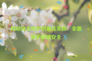 網(wǎng)站安全防護的最佳實踐，全面保護數(shù)據(jù)安全
