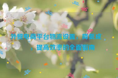 外貿(mào)電商平臺物流設(shè)置，降低成本，提高效率的全面指南