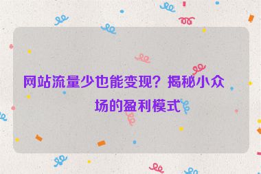 網(wǎng)站流量少也能變現(xiàn)？揭秘小眾市場的盈利模式