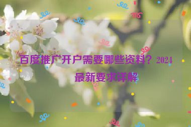 百度推廣開戶需要哪些資料？2024年最新要求詳解
