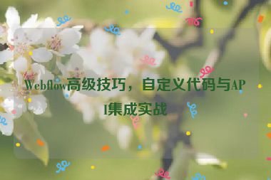 Webflow高級技巧，自定義代碼與API集成實(shí)戰(zhàn)