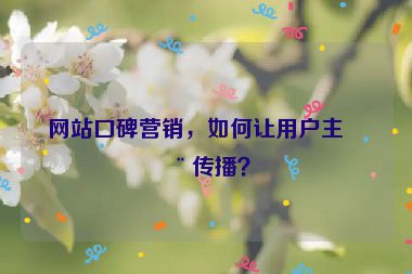 網(wǎng)站口碑營銷，如何讓用戶主動傳播？