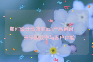 如何設(shè)計(jì)高效的B2B產(chǎn)品目錄，提升采購(gòu)效率與客戶體驗(yàn)
