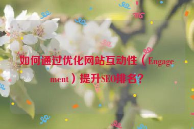 如何通過優(yōu)化網(wǎng)站互動性（Engagement）提升SEO排名？