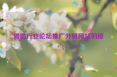借助行業(yè)論壇推廣外貿網站的技巧