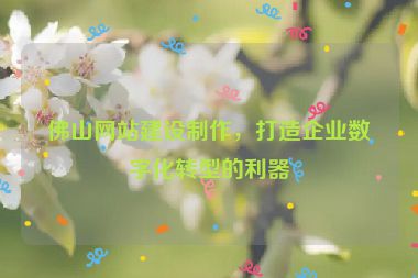 佛山網(wǎng)站建設(shè)制作，打造企業(yè)數(shù)字化轉(zhuǎn)型的利器