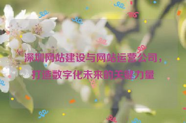 深圳網(wǎng)站建設(shè)與網(wǎng)站運營公司，打造數(shù)字化未來的關(guān)鍵力量