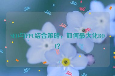 SEO與PPC結(jié)合策略，如何最大化ROI？