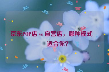 京東POP店 vs 自營(yíng)店，哪種模式更適合你？