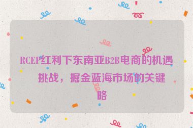 RCEP紅利下東南亞B2B電商的機(jī)遇與挑戰(zhàn)，掘金藍(lán)海市場的關(guān)鍵策略