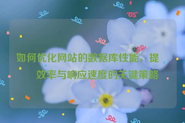如何優(yōu)化網(wǎng)站的數(shù)據(jù)庫性能，提升效率與響應(yīng)速度的關(guān)鍵策略