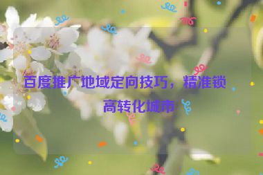 百度推廣地域定向技巧，精準(zhǔn)鎖定高轉(zhuǎn)化城市
