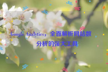 Google Analytics，全面解析網(wǎng)站數(shù)據(jù)分析的強(qiáng)大工具