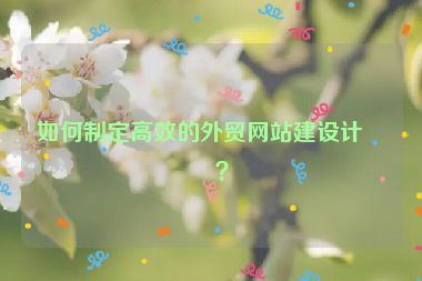 如何制定高效的外貿(mào)網(wǎng)站建設(shè)計(jì)劃？