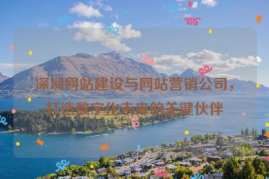 深圳網(wǎng)站建設(shè)與網(wǎng)站營銷公司，打造數(shù)字化未來的關(guān)鍵伙伴