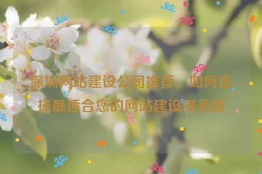 深圳網(wǎng)站建設(shè)公司推薦，如何選擇最適合您的網(wǎng)站建設(shè)服務(wù)商