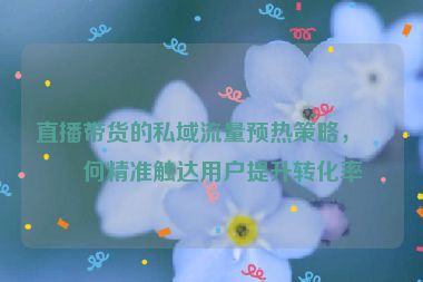 直播帶貨的私域流量預(yù)熱策略，如何精準(zhǔn)觸達(dá)用戶提升轉(zhuǎn)化率