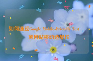 如何通過(guò)Google Mobile-Friendly Test檢測(cè)網(wǎng)站移動(dòng)適配性