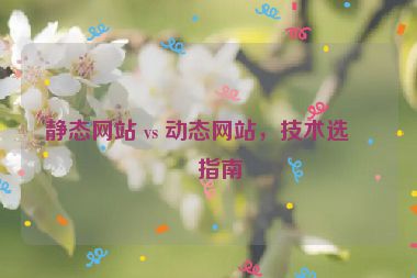 靜態(tài)網(wǎng)站 vs 動(dòng)態(tài)網(wǎng)站，技術(shù)選型指南
