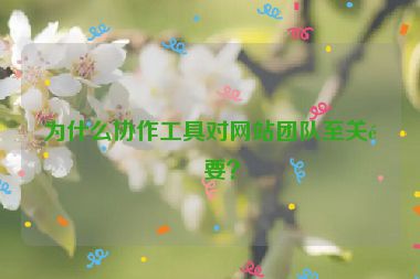 為什么協(xié)作工具對網(wǎng)站團隊至關(guān)重要？