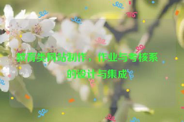 教育類網(wǎng)站制作，作業(yè)與考核系統(tǒng)的設(shè)計(jì)與集成