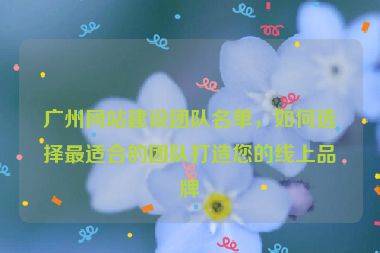 廣州網(wǎng)站建設(shè)團(tuán)隊(duì)名單，如何選擇最適合的團(tuán)隊(duì)打造您的線上品牌