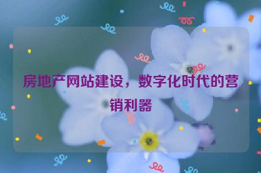 房地產(chǎn)網(wǎng)站建設(shè)，數(shù)字化時代的營銷利器