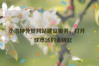 小語種外貿(mào)網(wǎng)站建設(shè)服務(wù)，打開全球市場的金鑰匙